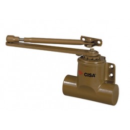 CISA ART.60130.01...